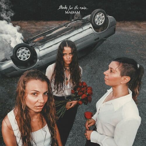 Cover de Thanks for the Noise